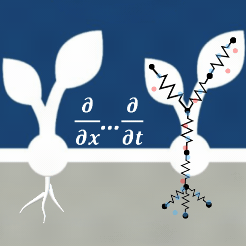 Digital Agricultural Avatar