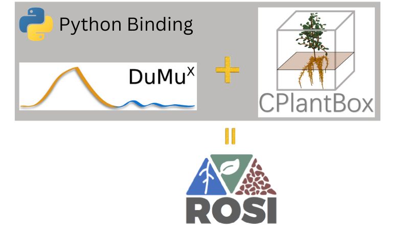 How does DuMux-ROSI work?