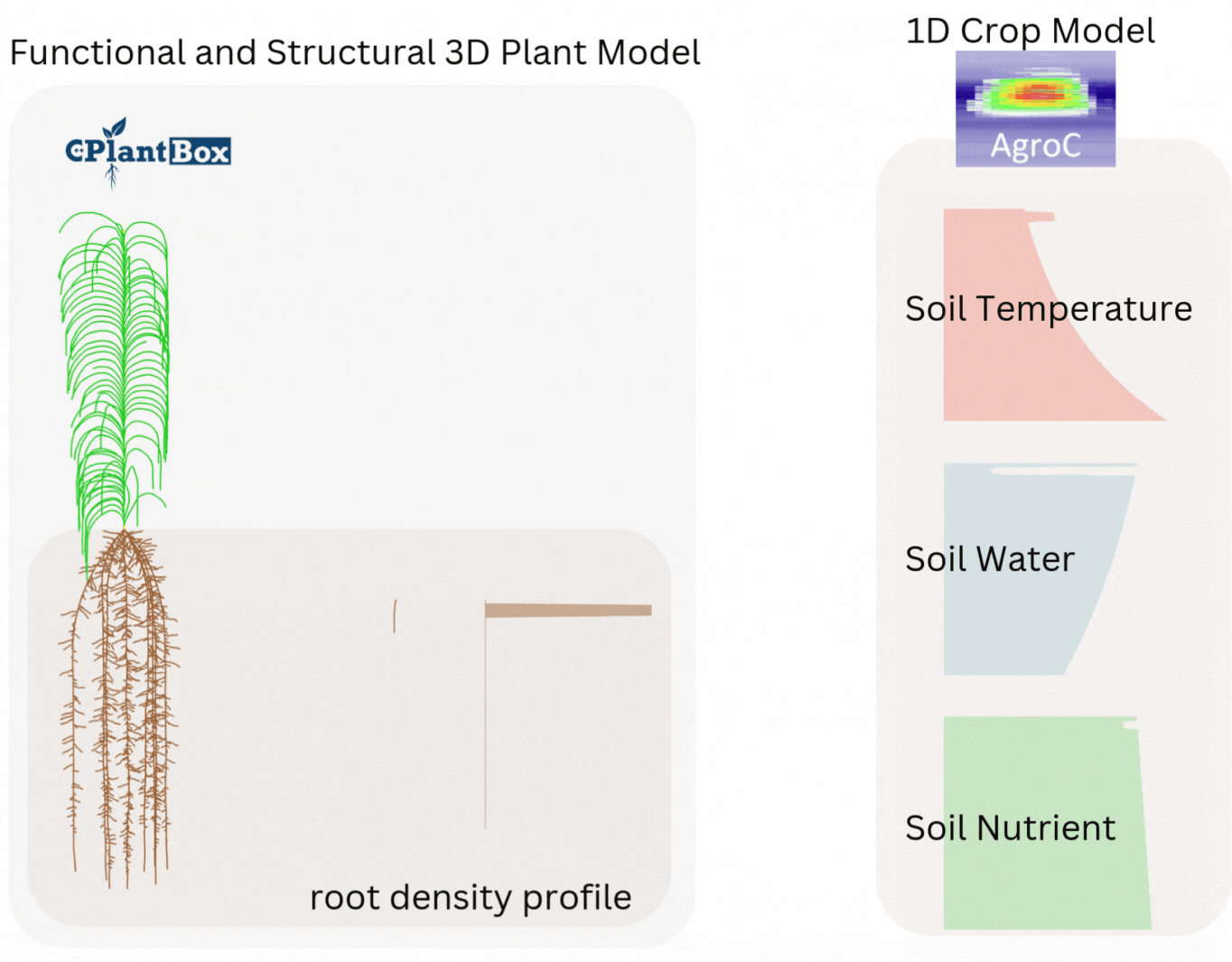 π AgroC-CPlantBox Integration π