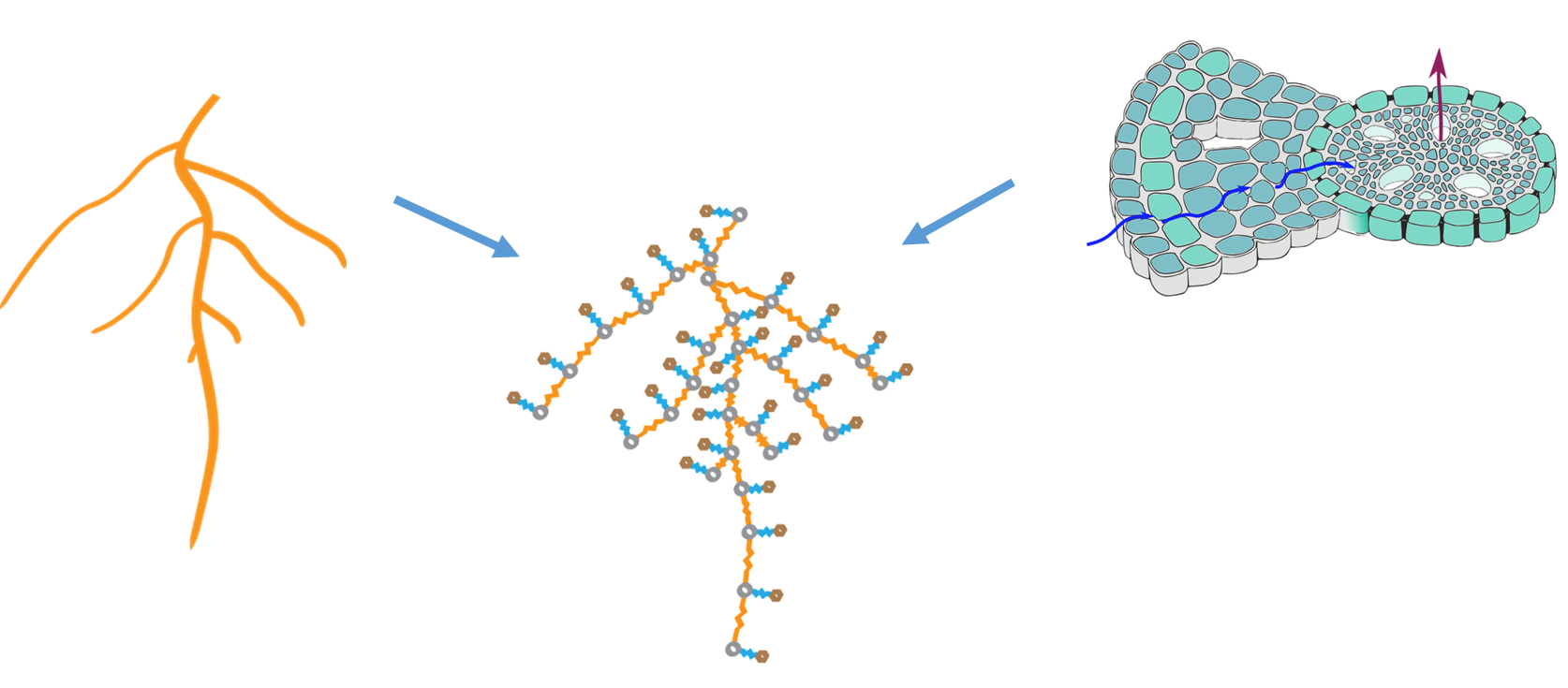 GRANAR-MECHA Coupling