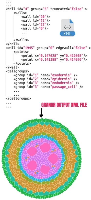 GRANAR Features