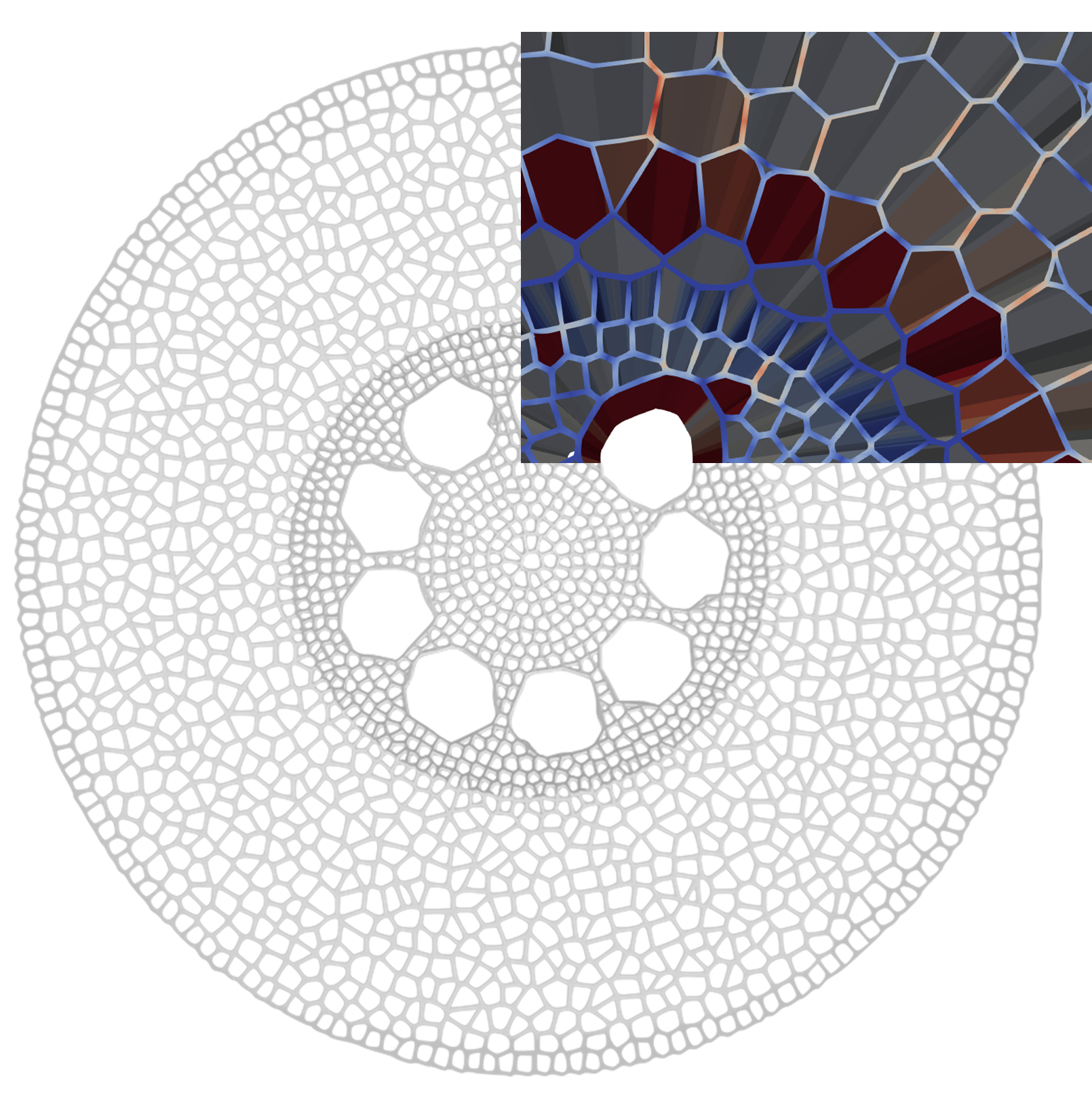 Organ-Level Root Hydraulic Modeling